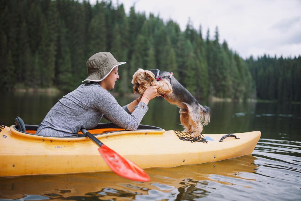 A Guide To Kayaking With Your Dog Riverbend By The Bridge